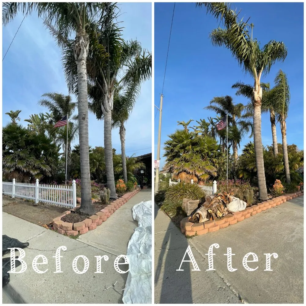 Local landscape design for outdoor upgrades across Oxnard, CA - Gamino’s Landscape Care & Tree Service