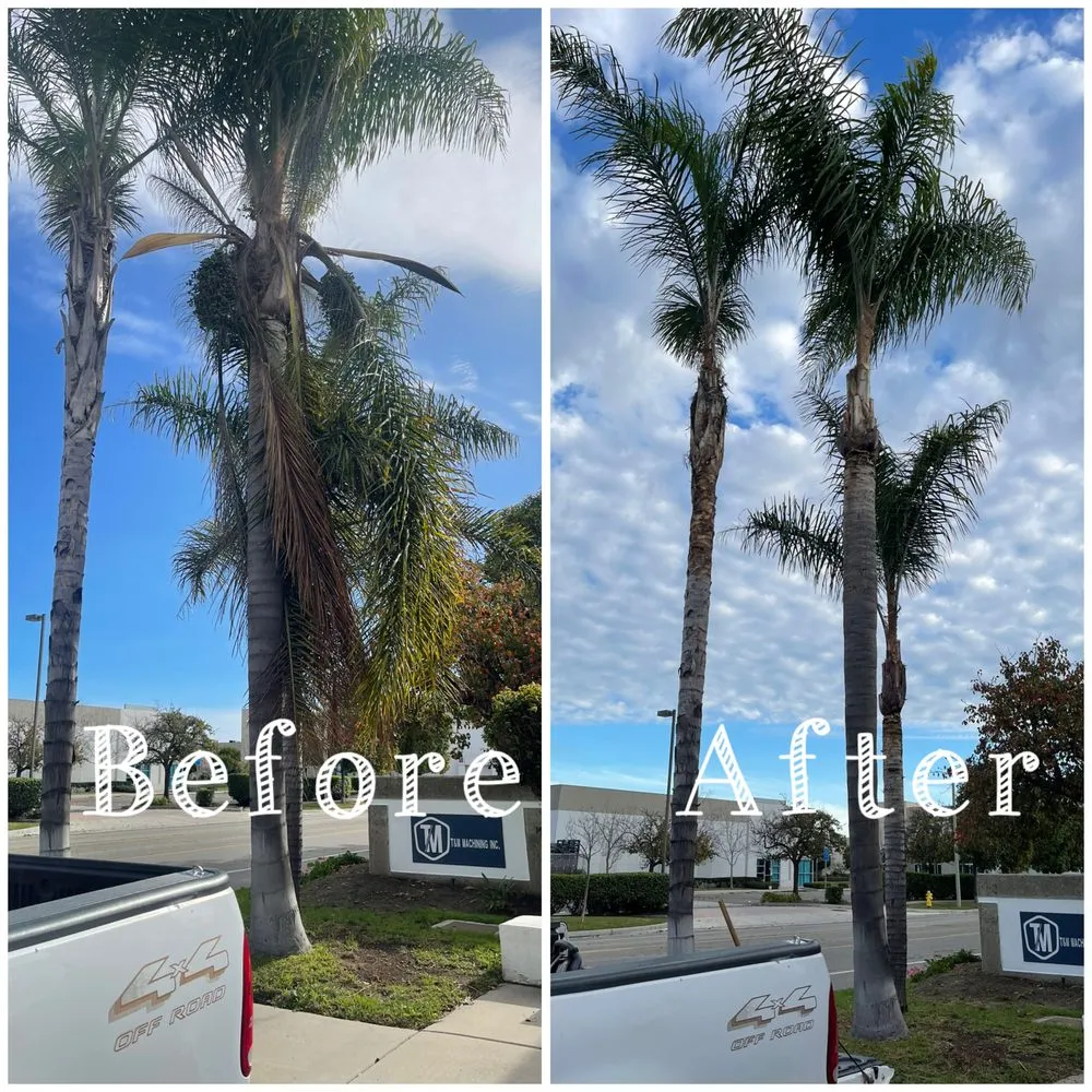 Custom residential landscaping for year-round maintenance in Oxnard, CA by Gamino’s Landscape Care & Tree Service