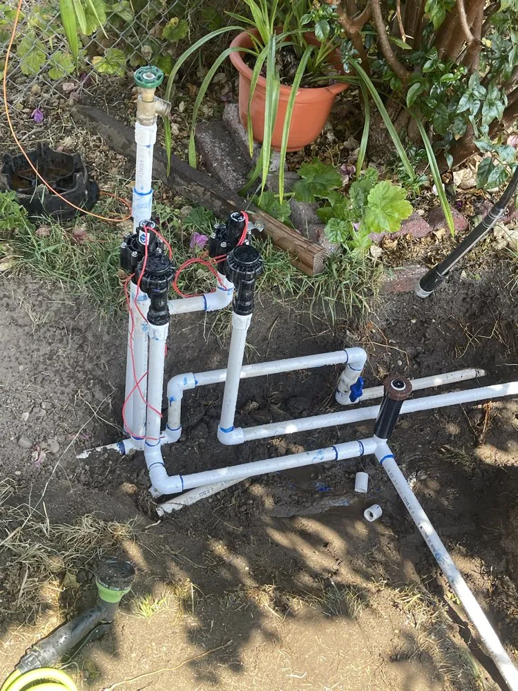 Top-rated yard maintenance for homes in Oxnard, CA by Gamino’s Landscape Care & Tree Service