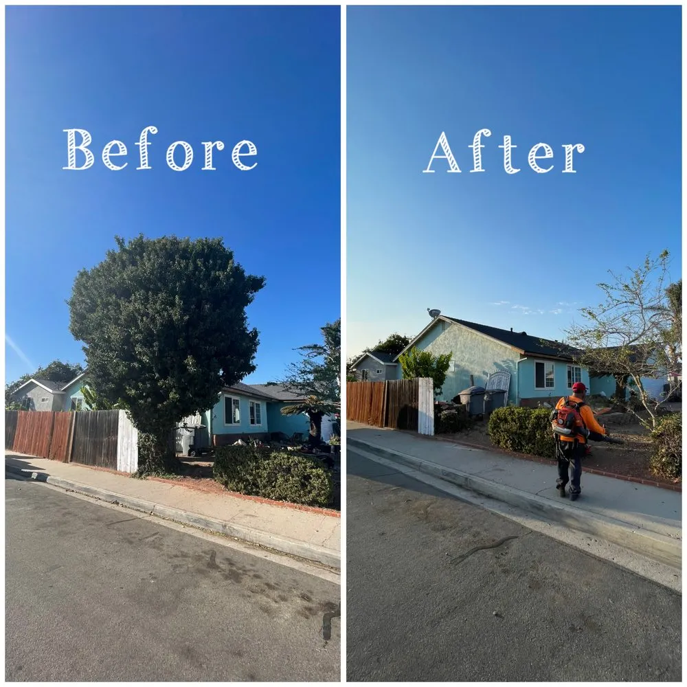 Top-rated outdoor landscaping experts serving Oxnard, CA - Gamino’s Landscape Care & Tree Service