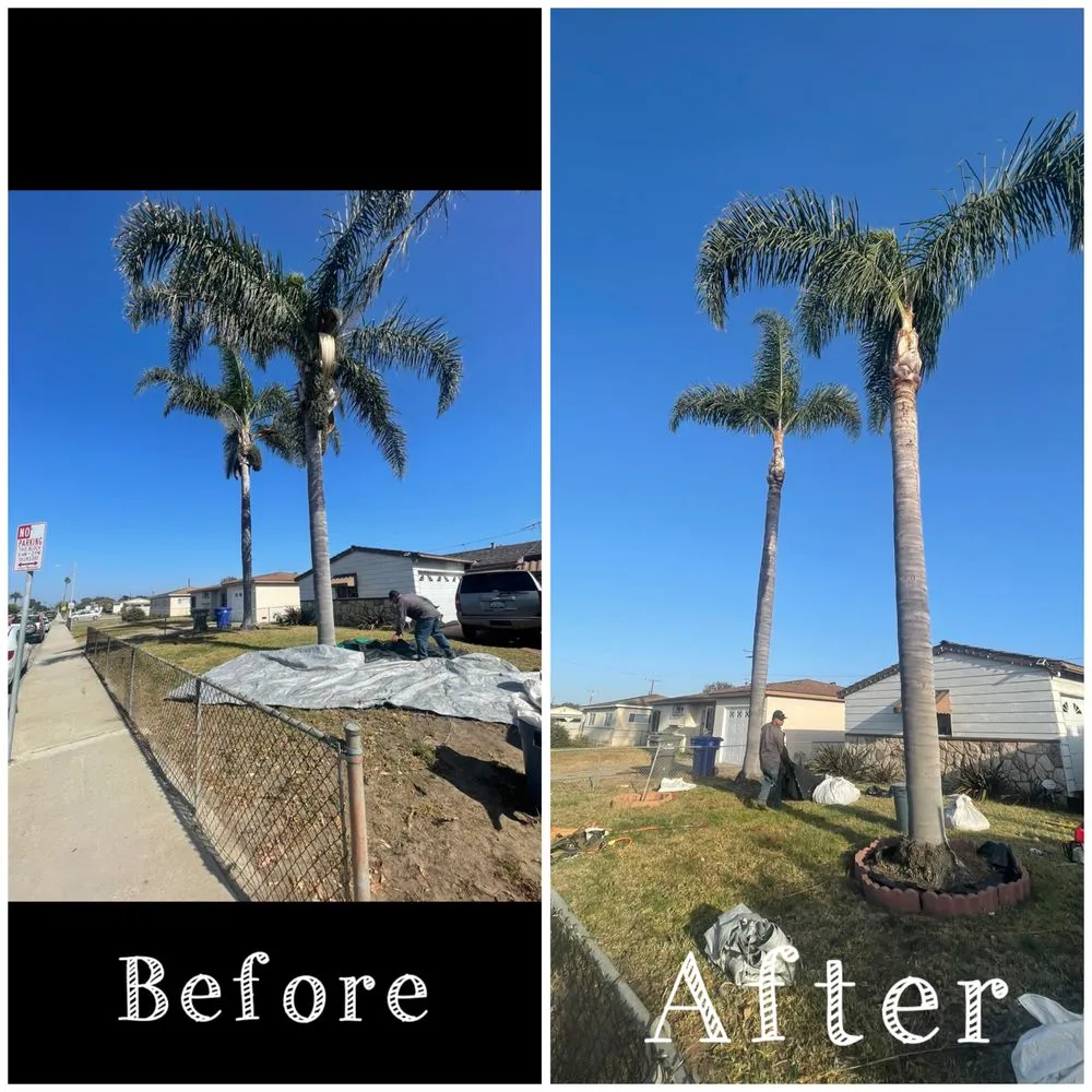 Trusted lawn mowing service in Oxnard, CA by Gamino’s Landscape Care & Tree Service