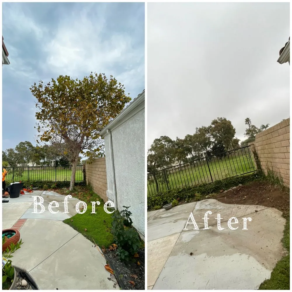 Professional landscape installation in Oxnard, CA by Gamino’s Landscape Care & Tree Service