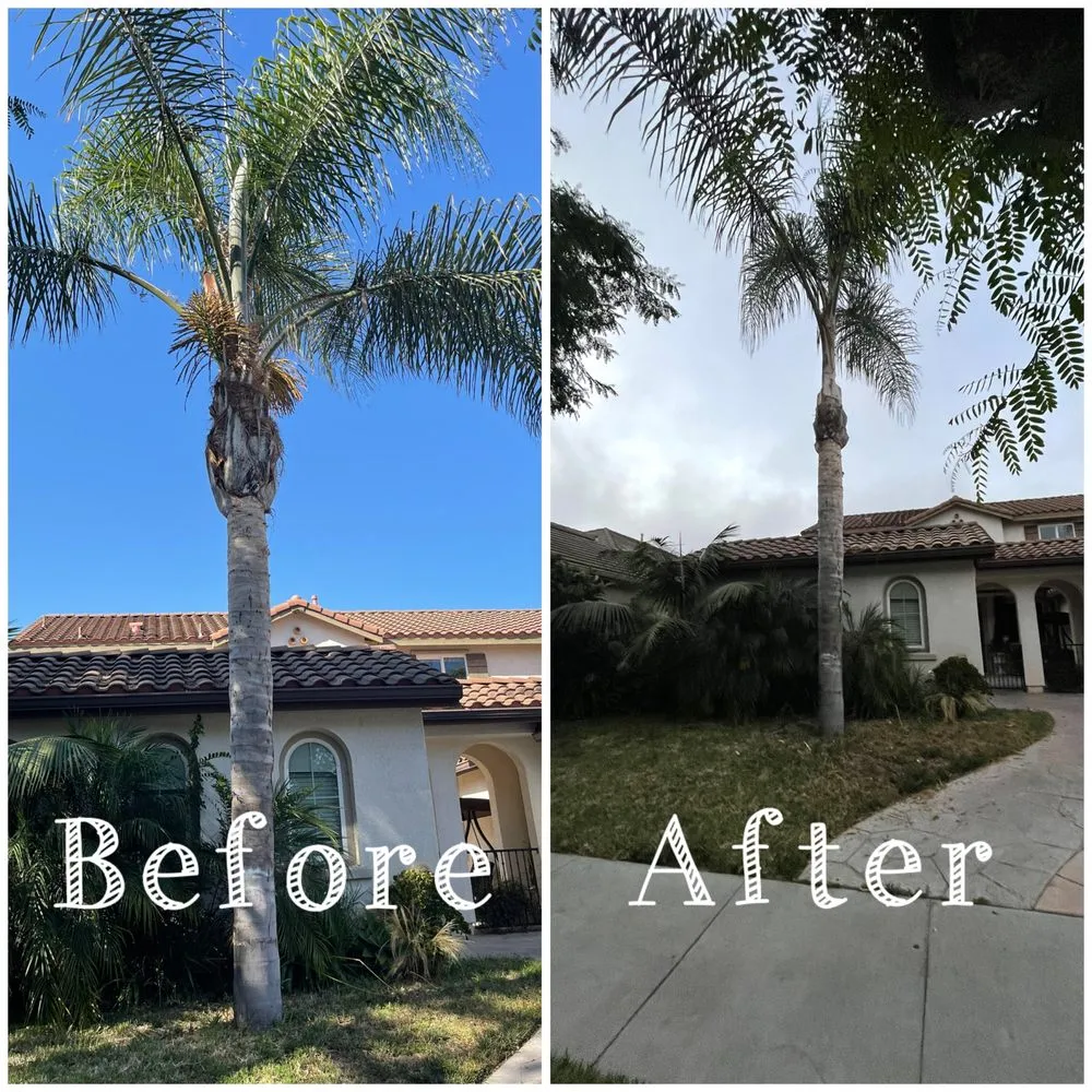 Reliable lawn care service in Oxnard, CA - Gamino’s Landscape Care & Tree Service