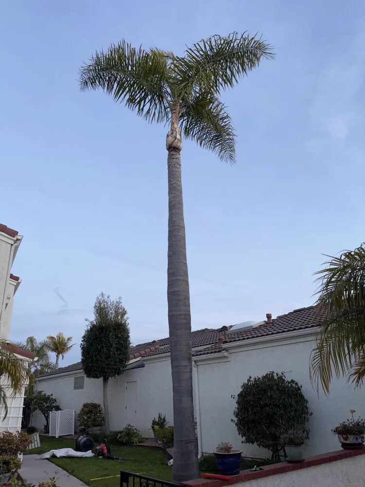 Reliable landscape installation experts serving Oxnard, CA - Gamino’s Landscape Care & Tree Service