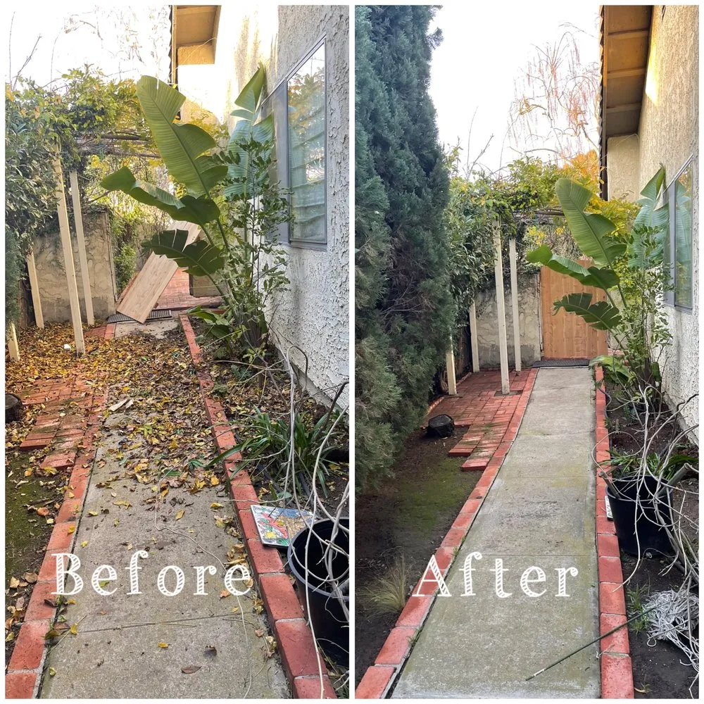 Top-rated outdoor landscaping near you across Oxnard, CA - Gamino’s Landscape Care & Tree Service