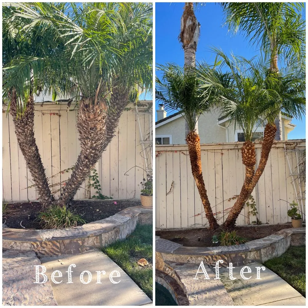 Custom outdoor landscaping in Oxnard, CA by Gamino’s Landscape Care & Tree Service