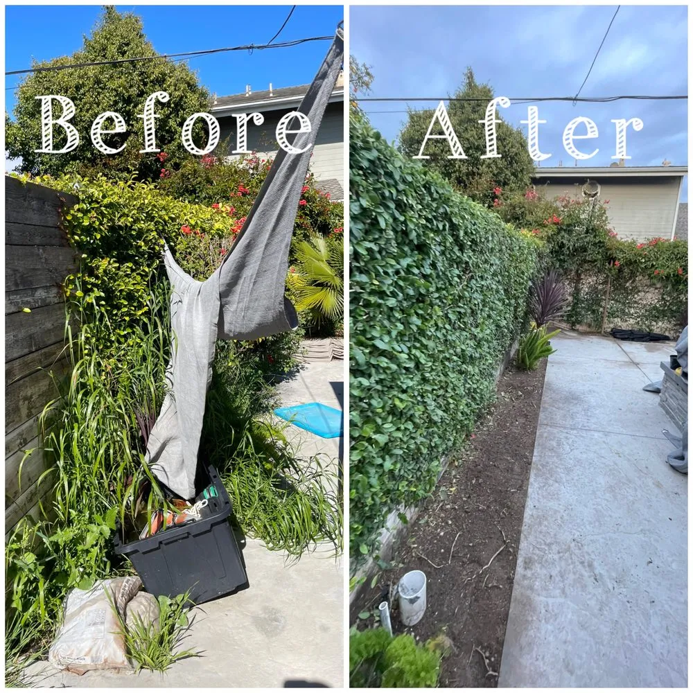 Top-rated outdoor landscaping in Oxnard, CA - Gamino’s Landscape Care & Tree Service