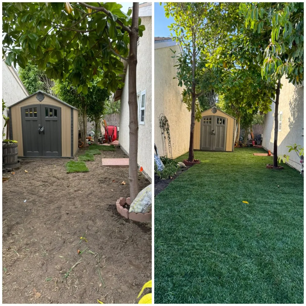 Professional landscape design with custom design in Oxnard, CA by Gamino’s Landscape Care & Tree Service