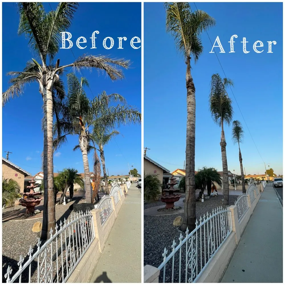 Custom outdoor landscaping for residential properties across Oxnard, CA - Gamino’s Landscape Care & Tree Service