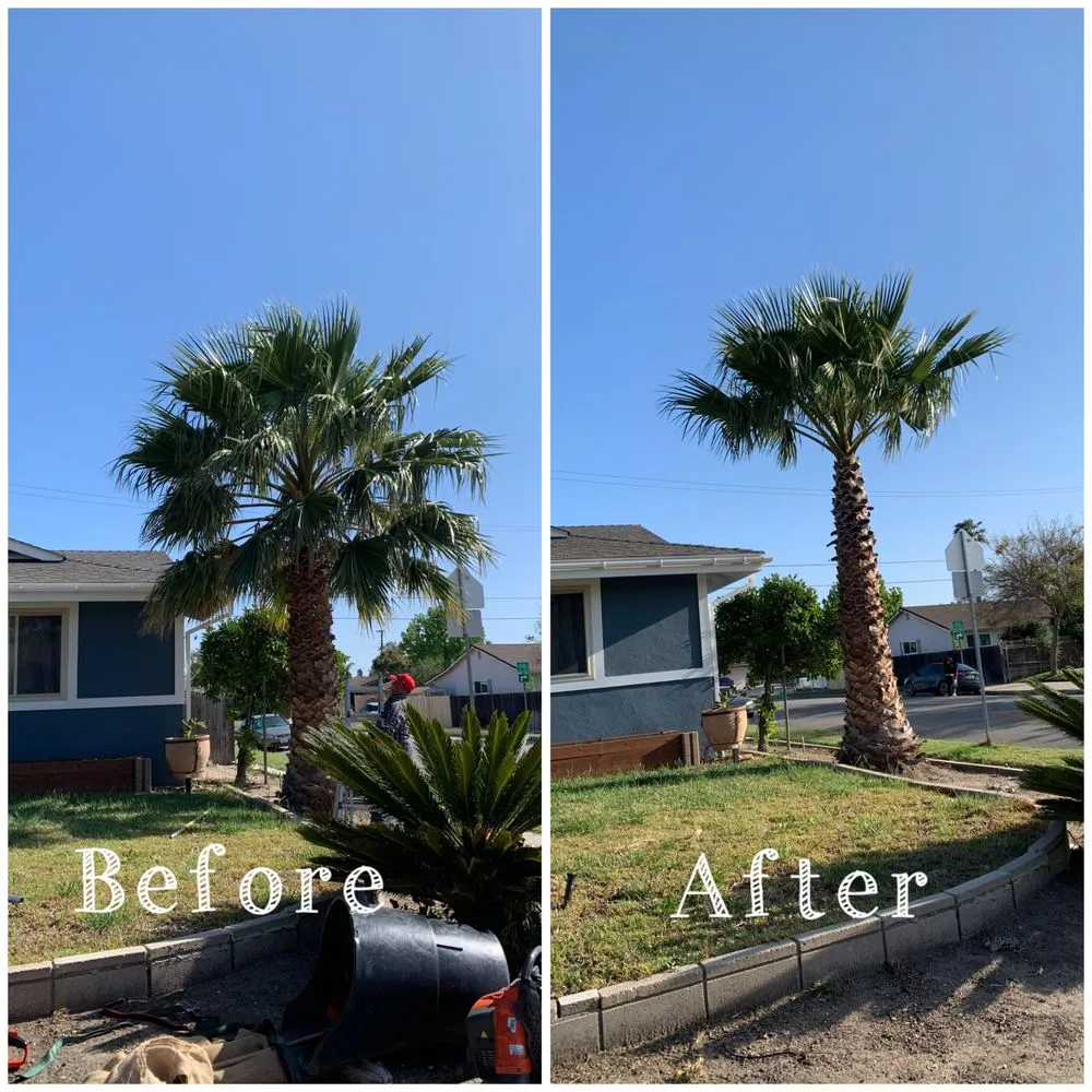 Reliable landscaping services for homes across Oxnard, CA - Gamino’s Landscape Care & Tree Service