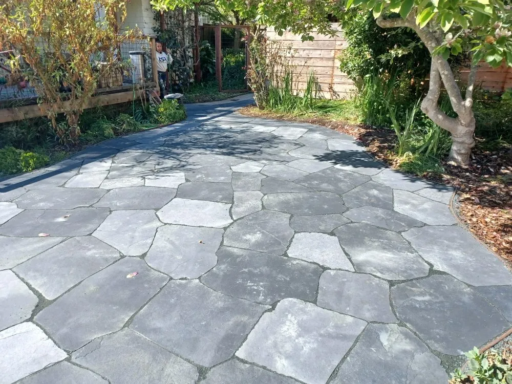 Trusted lawn care service in Oakland, CA by Gamiño Bros Construction & Landscaping