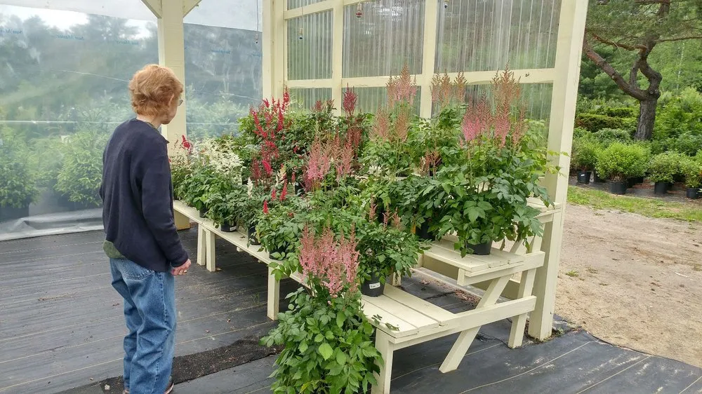 Affordable outdoor landscaping experts serving Auburn, ME - Gammon's Garden Center