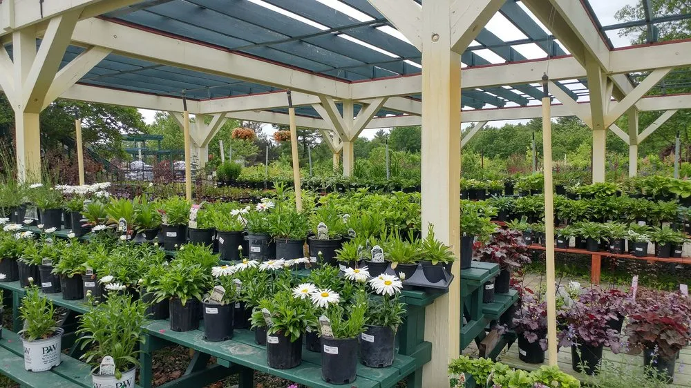 Trusted outdoor landscaping for year-round maintenance across Auburn, ME - Gammon's Garden Center