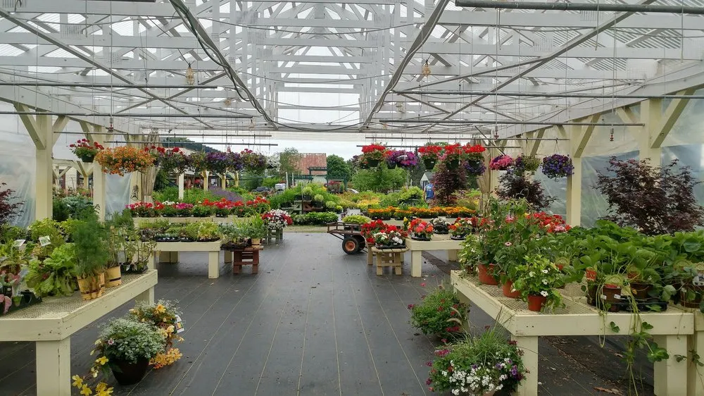 Reliable lawn care service for beautiful yards across Auburn, ME - Gammon's Garden Center