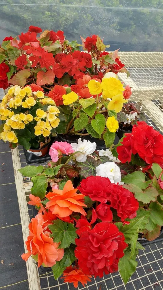 Reliable outdoor landscaping in Auburn, ME - Gammon's Garden Center