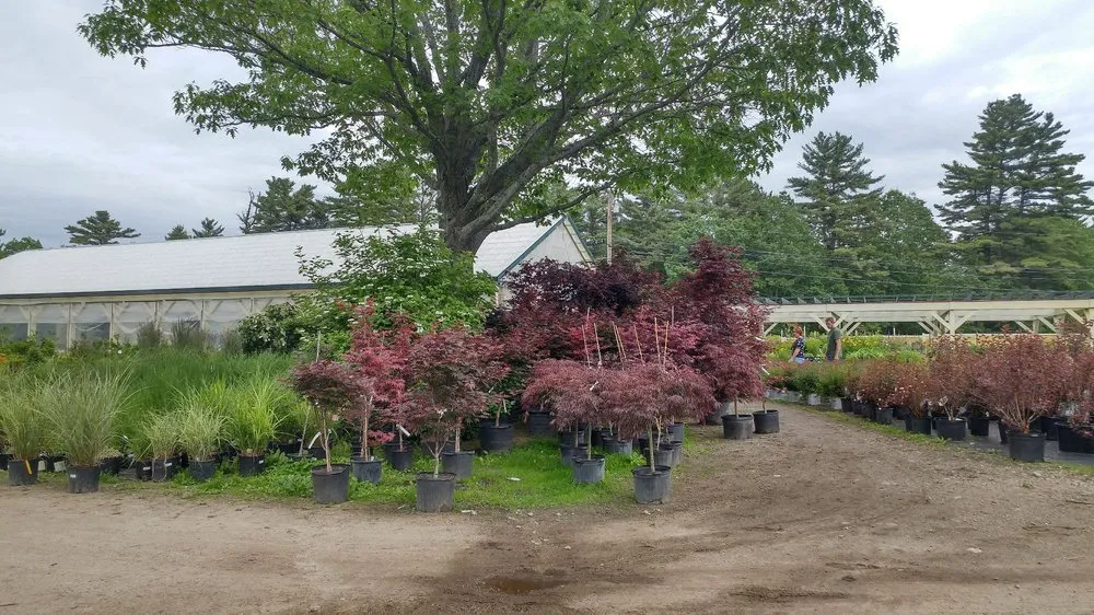 Affordable outdoor landscaping with custom design across Auburn, ME - Gammon's Garden Center