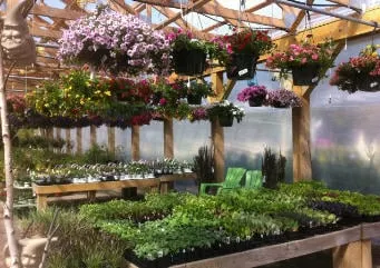 Trusted lawn care service in Auburn, ME - Gammon's Garden Center