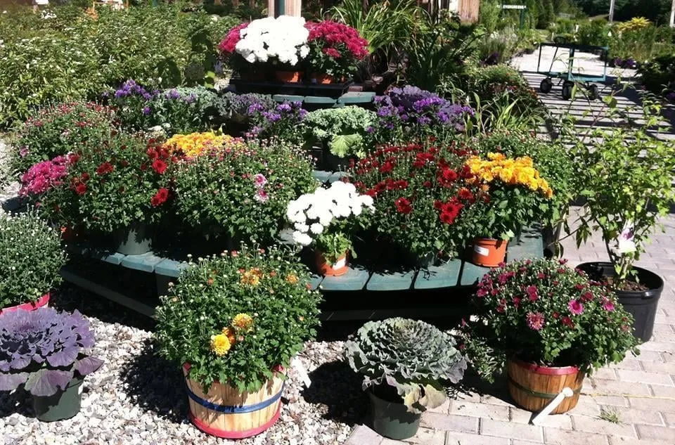 Expert landscape installation for beautiful yards in Auburn, ME by Gammon's Garden Center