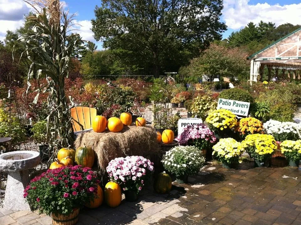Local garden landscaping in Auburn, ME - Gammon's Garden Center