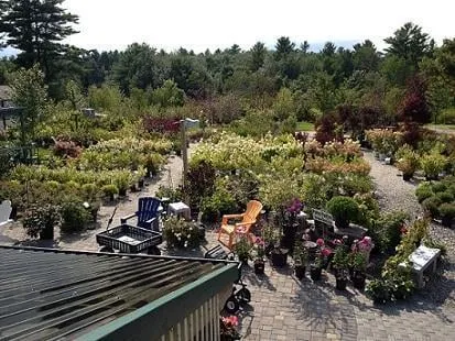 Affordable landscaping services in Auburn, ME - Gammon's Garden Center