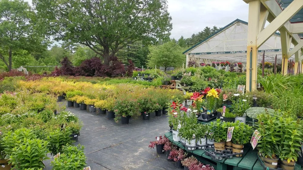 Local lawn care service for year-round maintenance across Auburn, ME - Gammon's Garden Center
