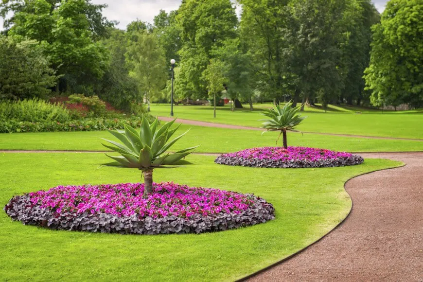 Expert yard cleanup service for beautiful yards across Miami Beach, FL - Gan Eden Landscaping