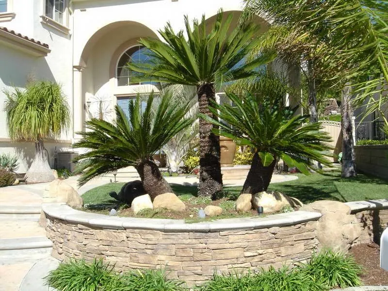 Affordable yard cleanup service for outdoor upgrades in Miami Beach, FL by Gan Eden Landscaping