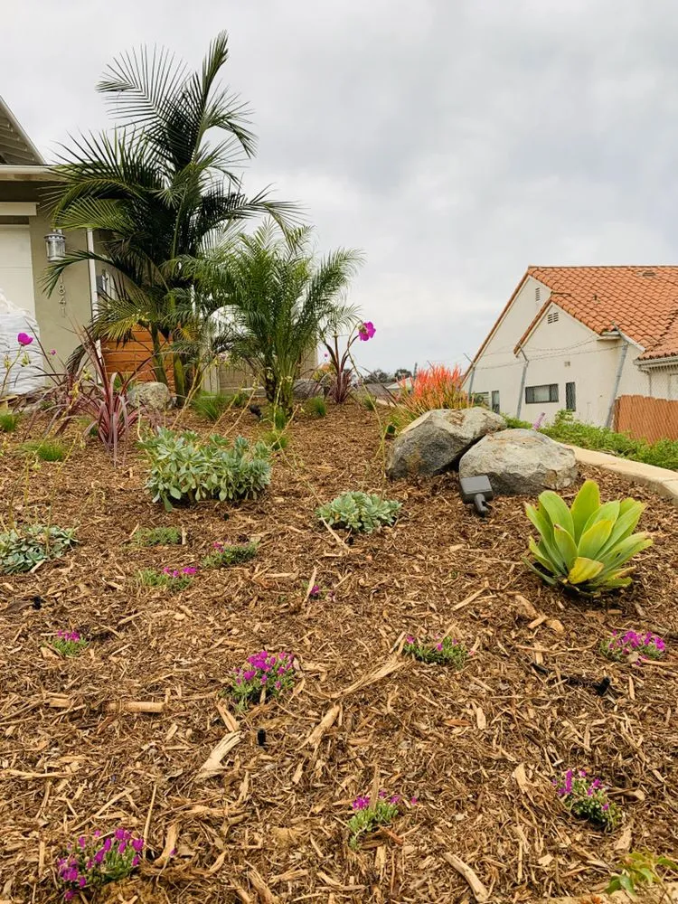 Reliable garden landscaping in Carlsbad, CA by Gang Green Landscaping