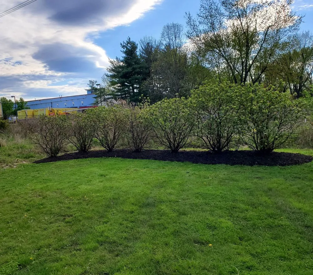 Expert lawn care service in Parsippany, NJ - Gangala Landscaping