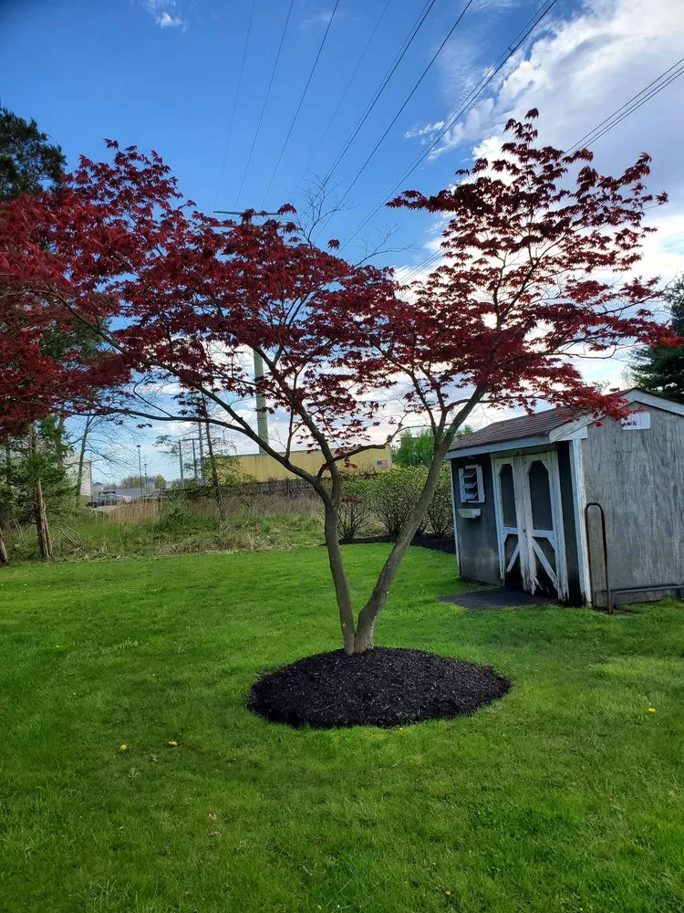 Top-rated landscape installation in Parsippany, NJ - Gangala Landscaping