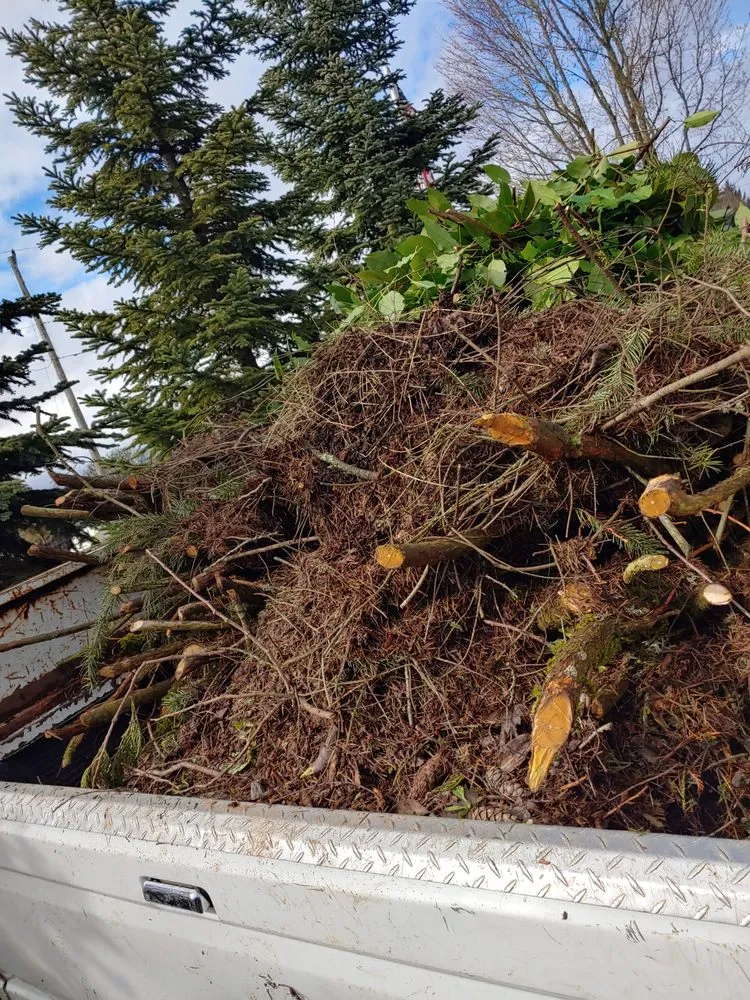 Trusted residential landscaping in Albany, OR by Gang's Lawn Care & Maintenance