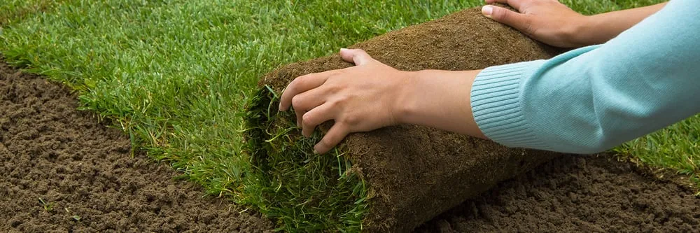 Professional garden landscaping in Kearney, NE - Gangwish Turf