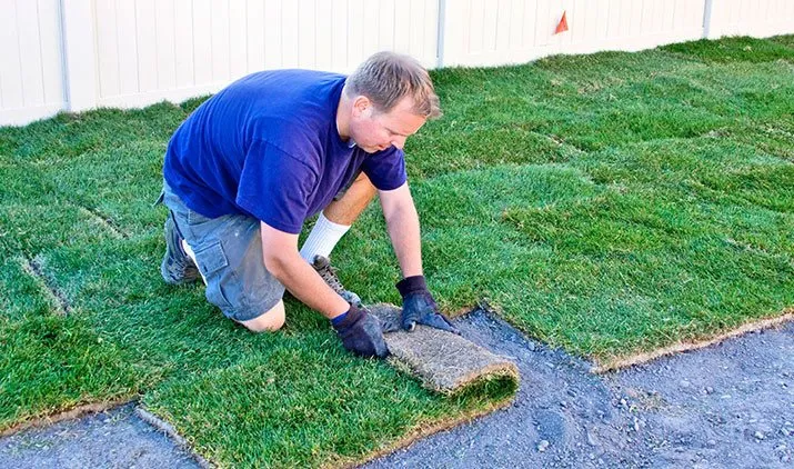 Local residential landscaping experts serving Kearney, NE - Gangwish Turf