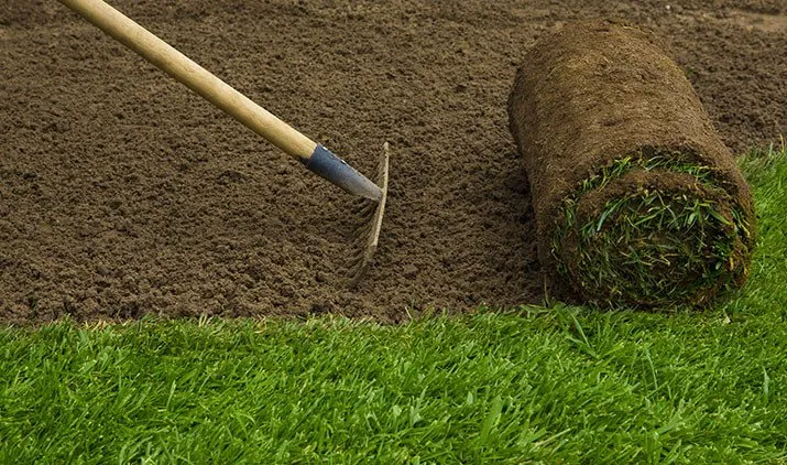 Trusted yard cleanup service for year-round maintenance in Kearney, NE by Gangwish Turf