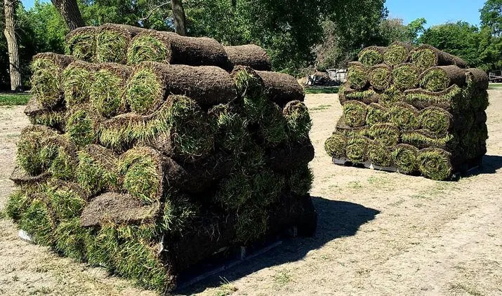 Top-rated yard maintenance in Kearney, NE - Gangwish Turf