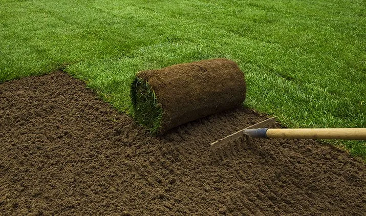 Affordable lawn care service for year-round maintenance across Kearney, NE - Gangwish Turf