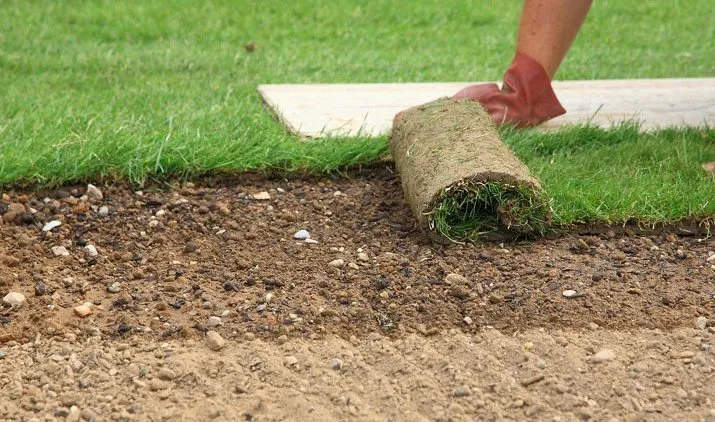 Local yard maintenance in Kearney, NE by Gangwish Turf