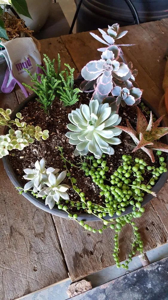 Custom landscape installation in Houma, LA by Ganier's Southdown Gardens