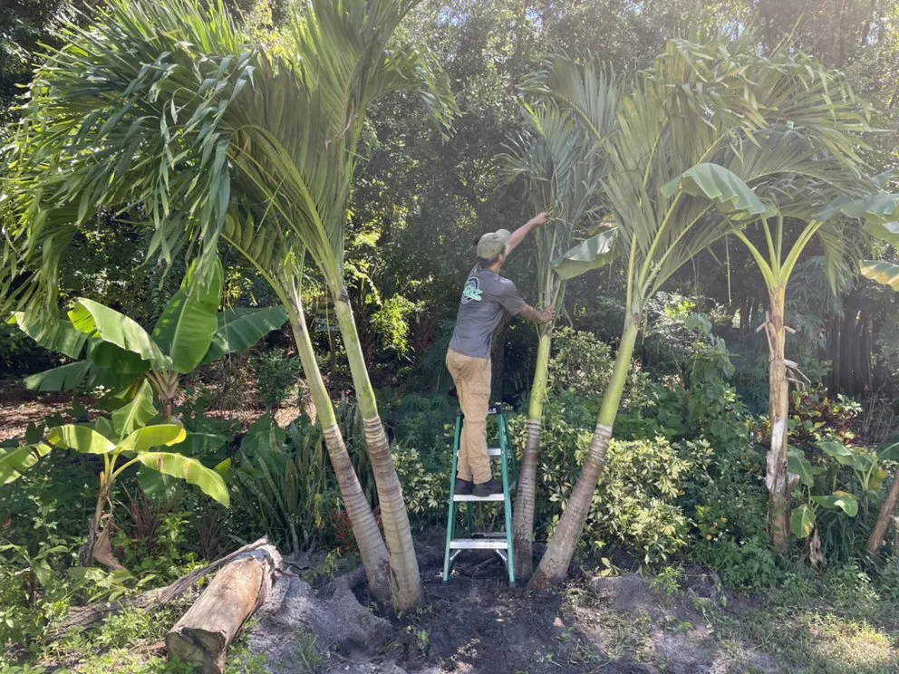 Top-rated lawn mowing service in Port Orange, FL by Ganz Landscape & Nursery