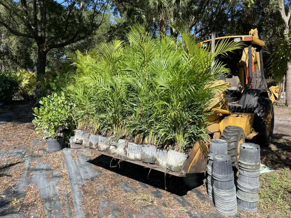 Affordable landscape installation with custom design across Port Orange, FL - Ganz Landscape & Nursery