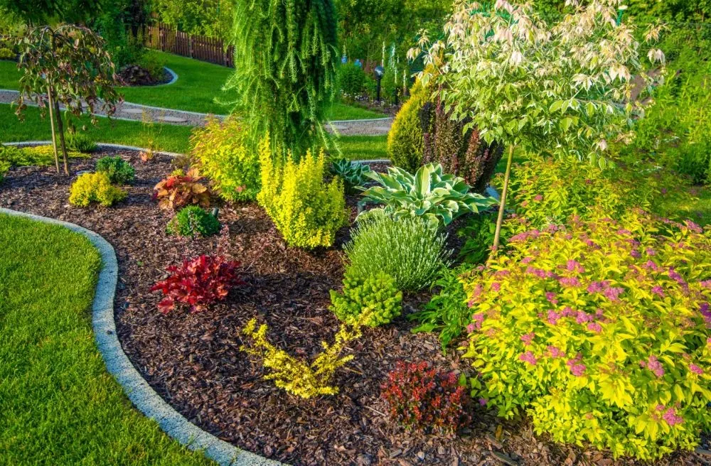 Reliable yard cleanup service for residential properties in Bassett, CA by Ganzales Treetops