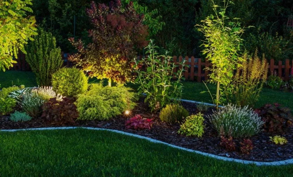 Professional garden landscaping experts serving Bassett, CA - Ganzales Treetops