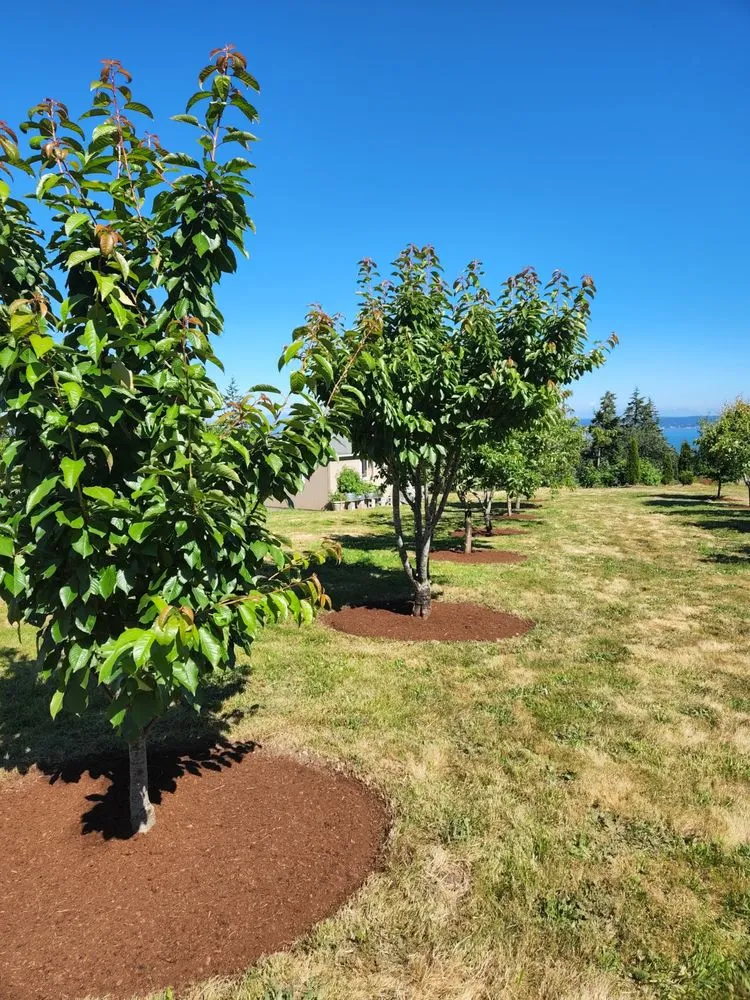 Custom landscape installation with custom design in Camano, WA by Gaonas Lawn Care
