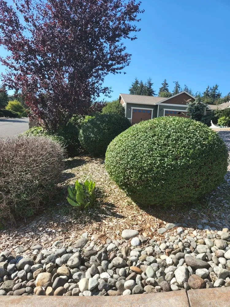 Affordable garden landscaping experts serving Camano, WA - Gaonas Lawn Care