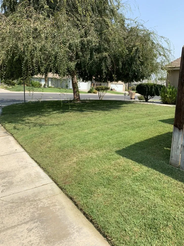 Professional landscaping services in Bakersfield, CA by Garay Quality Lawn Care