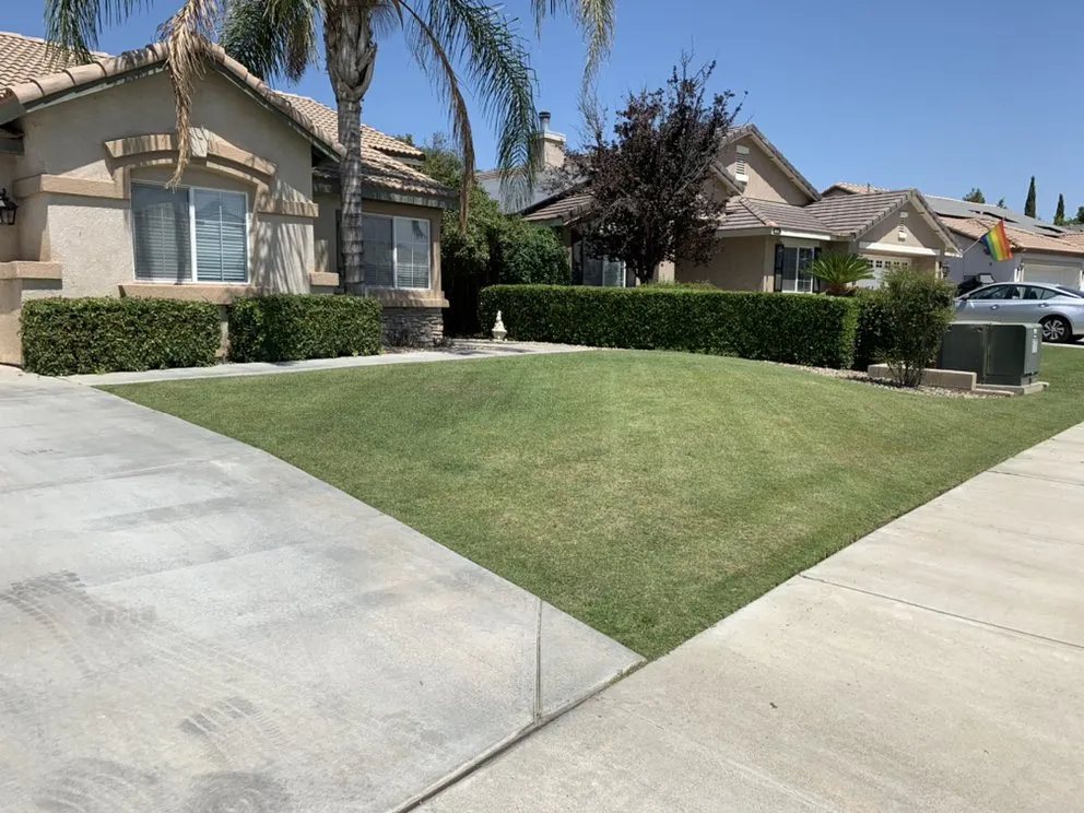 Top-rated outdoor landscaping for year-round maintenance across Bakersfield, CA - Garay Quality Lawn Care