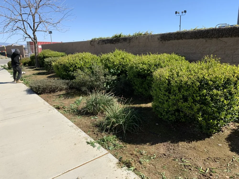 Professional lawn mowing service in Bakersfield, CA by Garay Quality Lawn Care