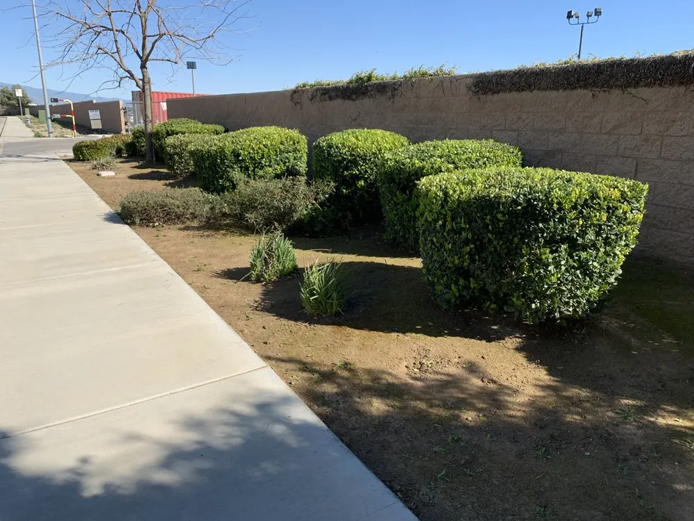 Expert landscape design in Bakersfield, CA by Garay Quality Lawn Care