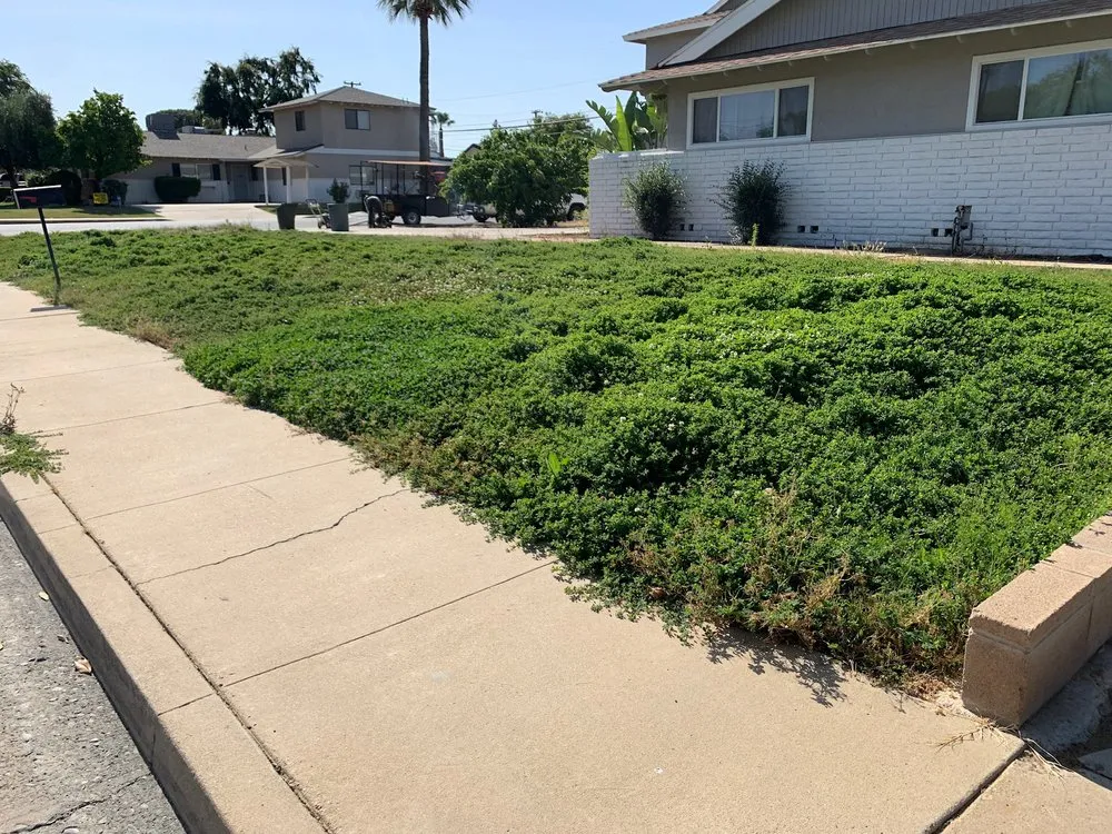 Professional landscape installation experts serving Bakersfield, CA - Garay Quality Lawn Care