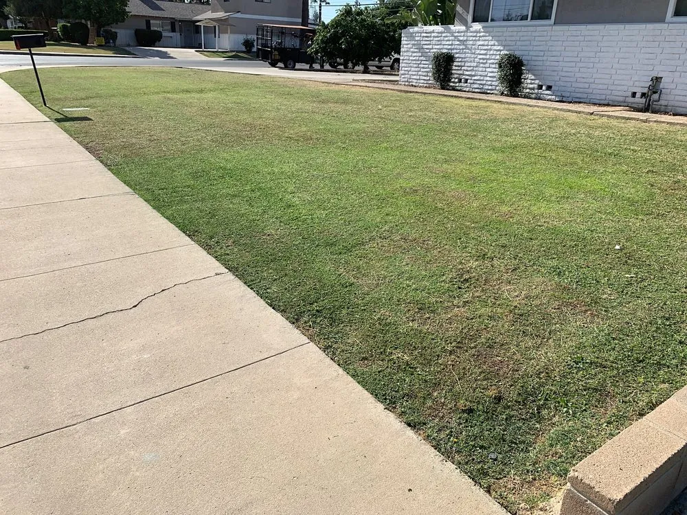 Expert lawn care service for year-round maintenance across Bakersfield, CA - Garay Quality Lawn Care